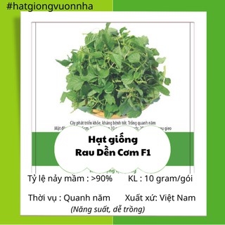 Hạt giống rau dền cơm rado - gói 10 gram