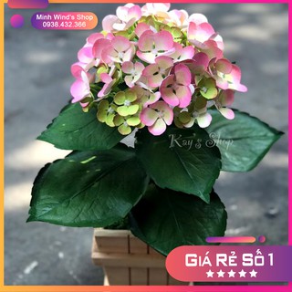 K98 - Khuôn Kim Loại Cắt Lá Cẩm Tú Cầu