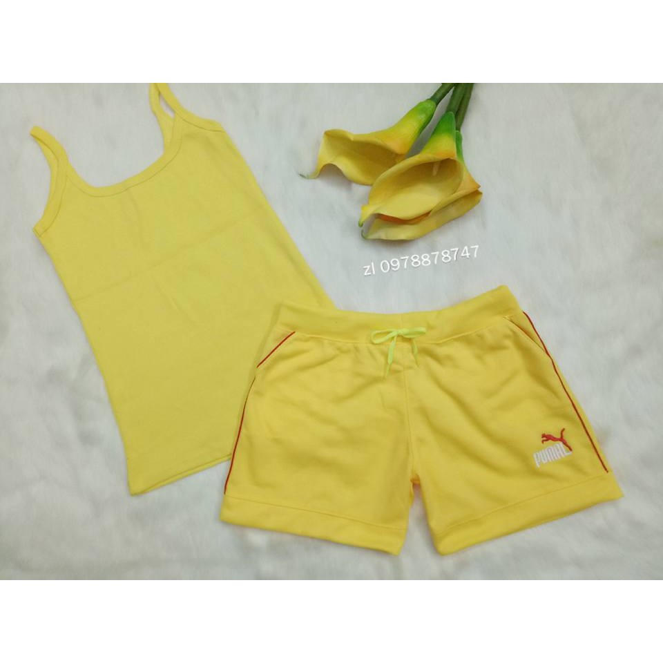 Quần Thun Nữ Nhiều Màu