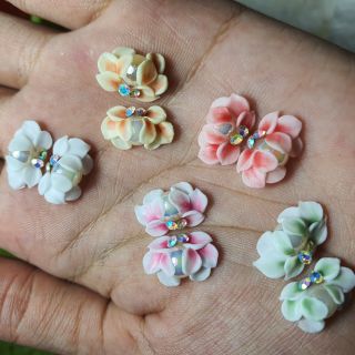 Hoa cúc ngang - hoa bột ôm móng