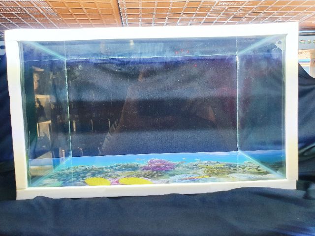 BỂ CÁ 39X23X23 KÍNH DÀY 5 LY KHÔNG KIỀNG DÁN TRANH SẴN