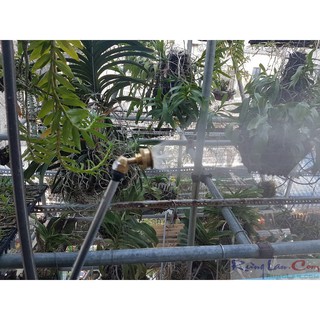 Béc phun 5 lổ kiểu cong/ kiểu thẳng 8mm/13mm/21mm