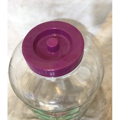 Bình thủy tinh đựng nước nắp tím 35l dây dù
