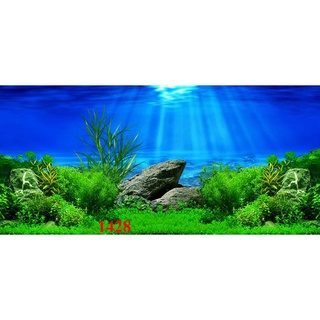 TRanh 3D dán bể cá cảnh _ Cường Điện