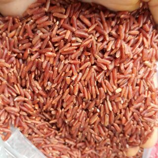 Gạo lứt đỏ quê sạch (đỏ ròng)