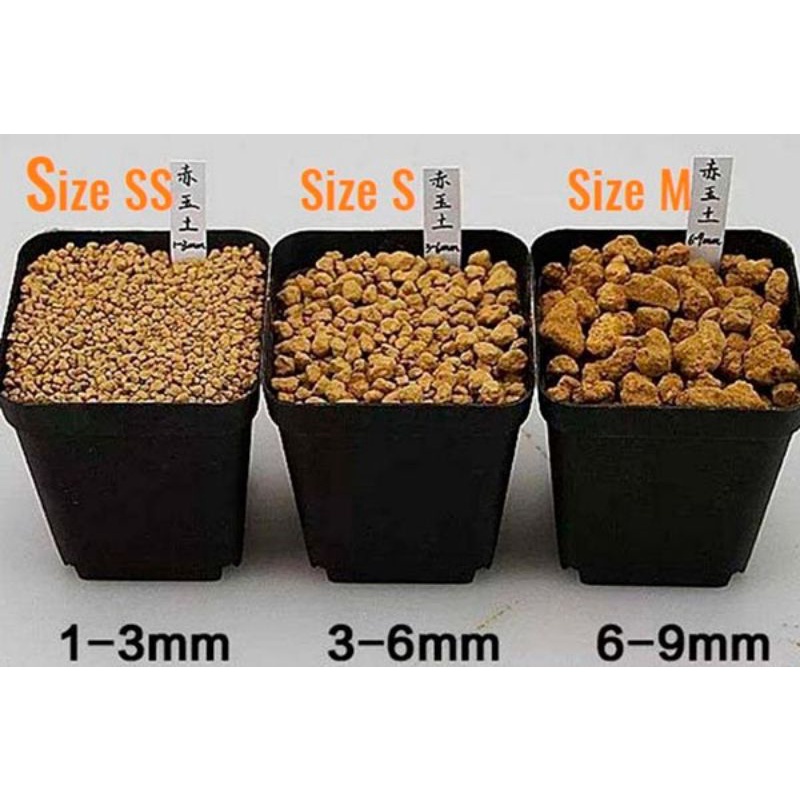 Đất  Akadama trồng sen đá tiểu cảnh terrarium,bể thủy sinh, bonsai loại cứng