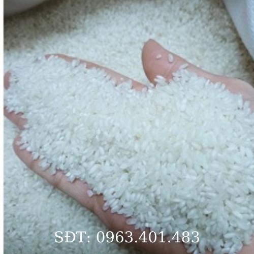 Gạo Khang Dân Quê Hạt Chắc Nhỏ Trắng Trong Ít Gãy Chuẩn Gạo Nam Định Bao 5kg và 10kg - Bách Hóa Cô Liên