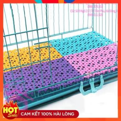 Tấm lót nhựa chuồng thú cưng kích thước 20x30cm - CutePets Phụ kiện chó mèo Pet shop Hà Nội