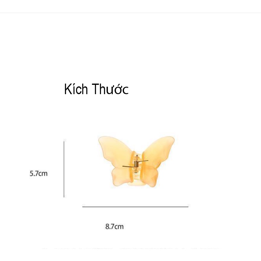 Kẹp Tóc Hình Bướm Trong Suốt Dễ Thương-Phụ Kiện Tóc Xinh Xắn, Sống Ảo, Đi Học, Đi Làm -Kẹp Tóc Nhiều Màu