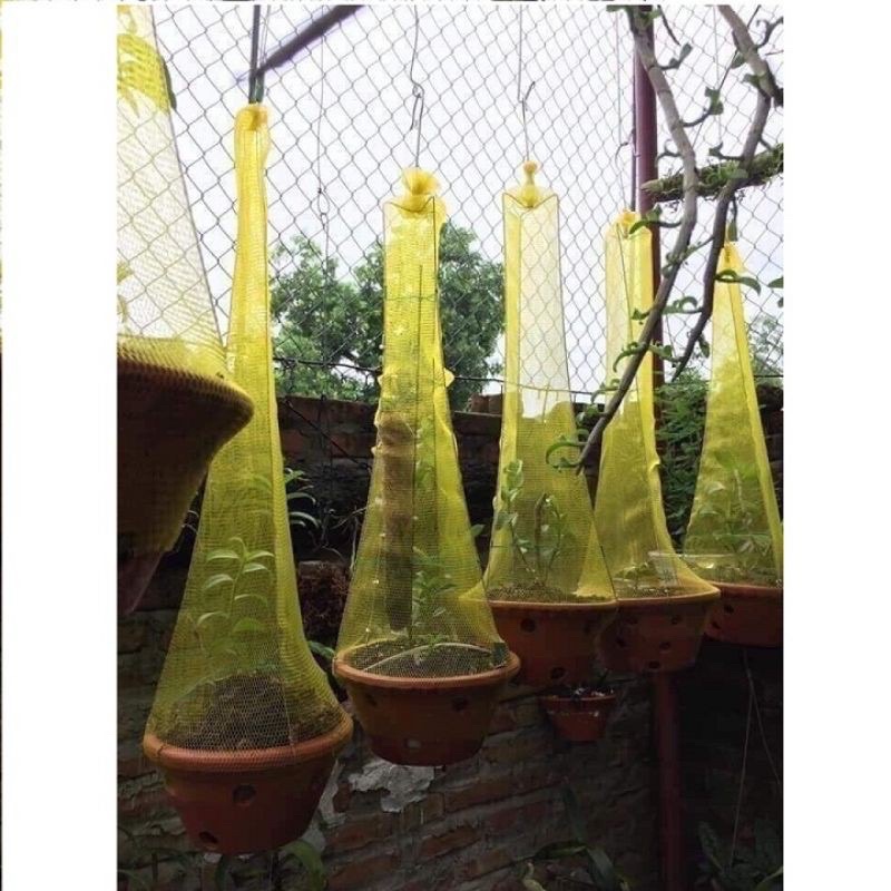 Túi lưới bọc lan, trái cây dài 40cm rộng 30-35cm combo 5 cái