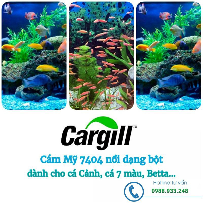 Cám Cargill 7404 đạm 42% thức ăn dành cá nhỏ, cá 7 màu và làm mồi câu cá | Túi 1kg