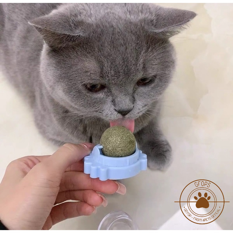Kẹo cỏ bạc hà mèo, catnip, cỏ bạc hà gắn tường cho mèo, catnip gắn tường, cỏ viên gắn tường - 4pets official