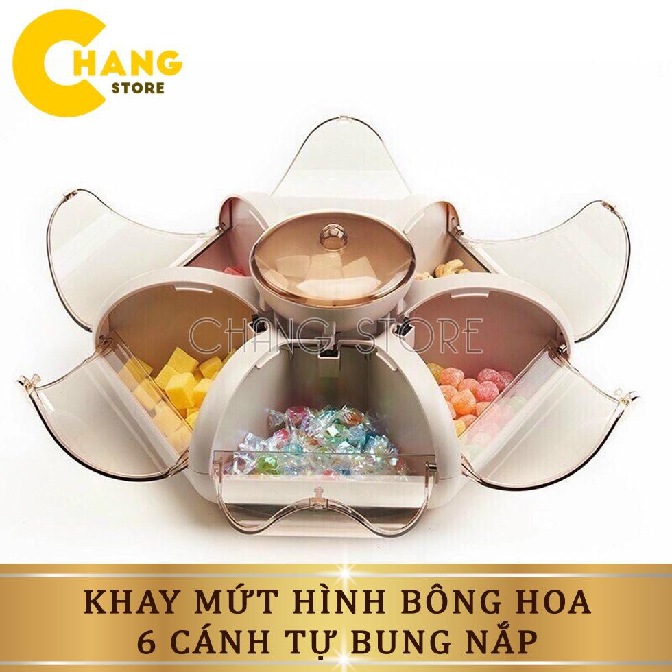 Khay Đựng Mứt, Bánh Kẹo Tết, Hộp Mứt Tết Nhiều Loại Lựa Chọn Kiểu Dáng Sang Trọng Cho Mọi Nhà