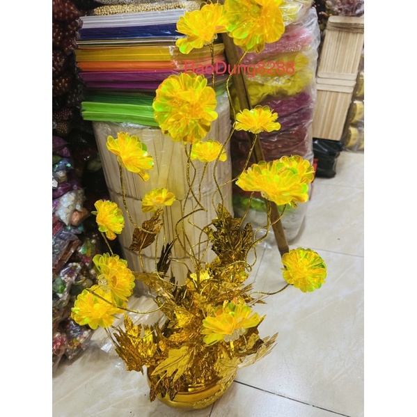 Bông kim sa dạ quang làm cây kim tiền