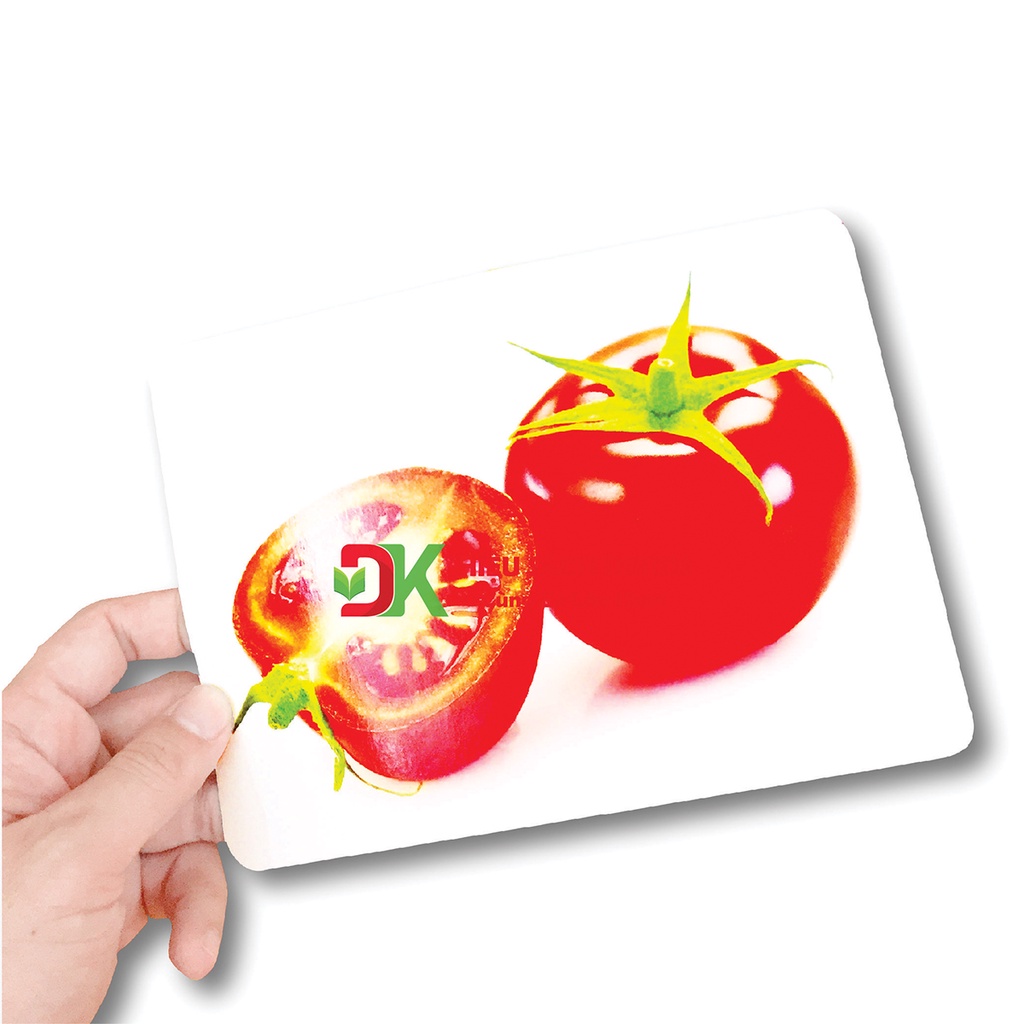 Flashcard thẻ thông minh Thế giới xung quanh phương pháp Glenn Doman khổ A5