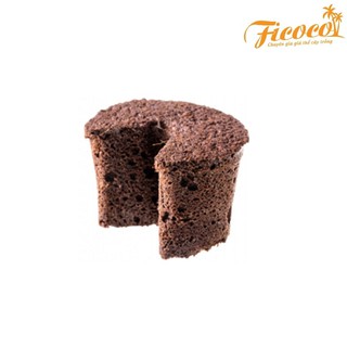 Viên mút xốp hữu cơ - ficoco - ươm kei lan, cây trồng