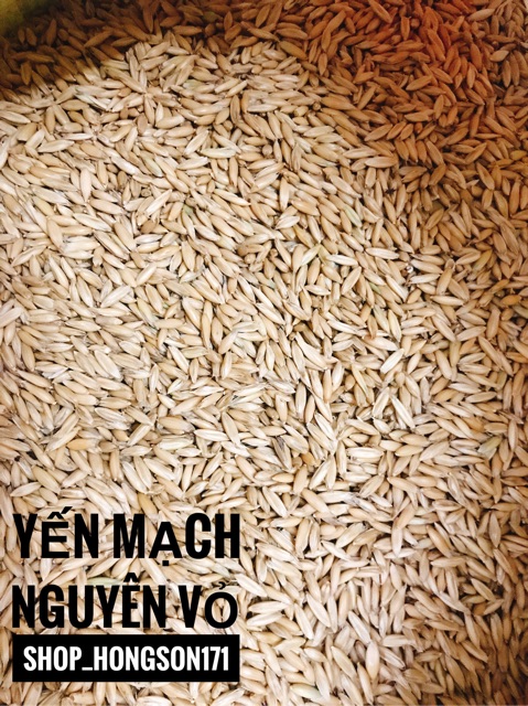 Yến mạch nguyên vỏ
