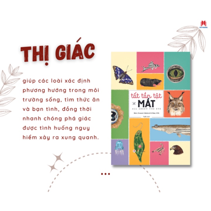 Sách Thiếu Nhi - Tất Tần Tật Về Mắt - Khám Phá Cửa Sổ Tâm Hồn Của Muôn Loài