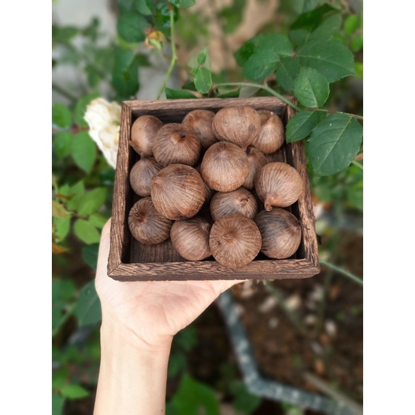 Tỏi Đen Cô Đơn ( Tỏi Một Nhánh Hàng Chuẩn Loại Một )