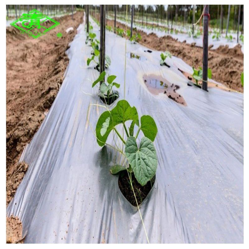2KG MÀNG PHỦ NÔNG NGHIỆP LOẠI 1,2 m× 80m