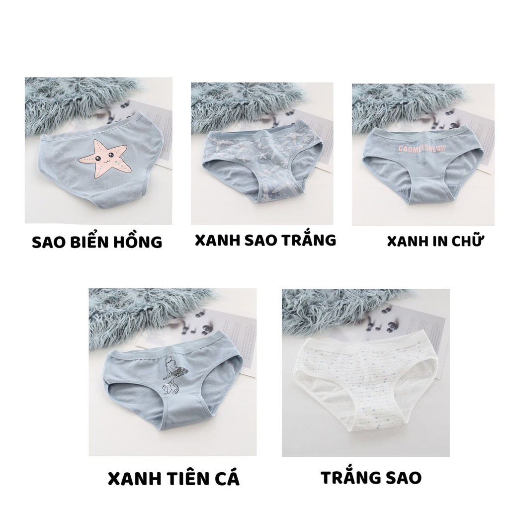 Quần Lót Nữ Cotton - Quần Lót Nữ cạp chun ôm dáng điệu đà - set nàng tiên cá dễ thương DAN STORE Mã 3775