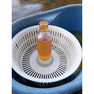 Combo 2 chai Tinh dầu Quế 100ml