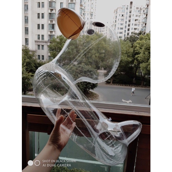Phao bơi vịt trong suốt cho bé.
