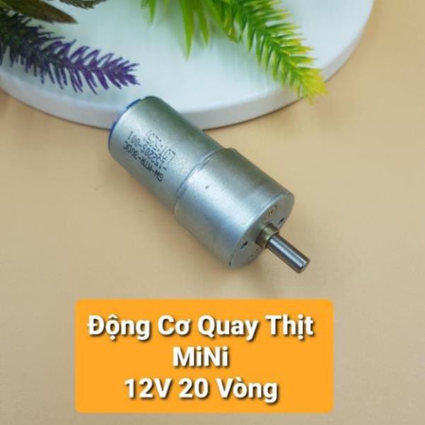 Động Cơ Quay Thịt Xiên MiNi 12V 20 Vòng