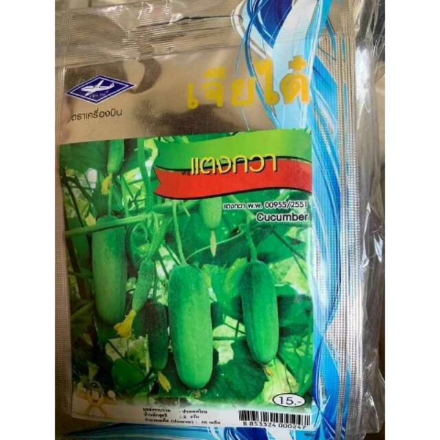 🥒🥒 DƯA CHUỘT NẾP SIÊU QUẢ THÁI LAN