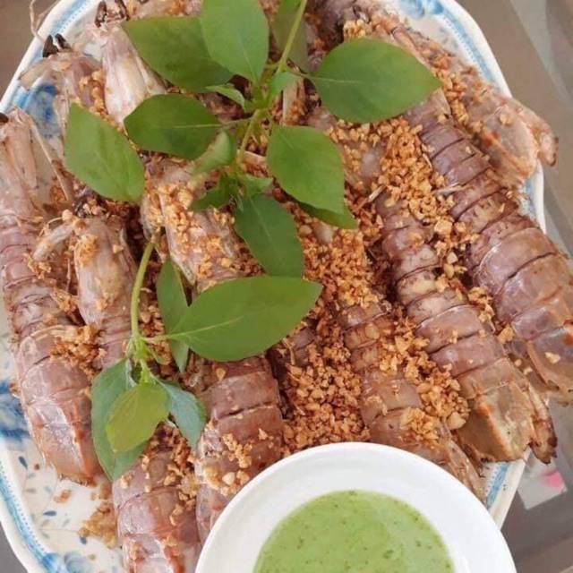 Tôm tít sống