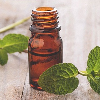 Tinh Dầu Khuynh Diệp ( Eucalyptus Essential Oil )