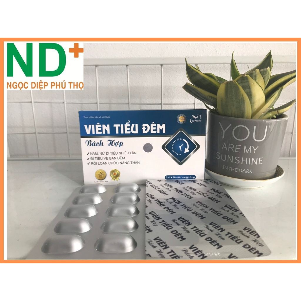 ✅ [CHÍNH HÃNG] Viên tiểu đêm Bách Hợp – Giúp bổ thận, ấm bàng quang, tăng cường chức năng thận, giảm tiểu đêm