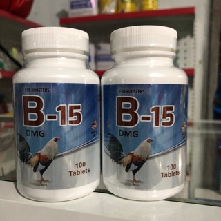 B15 dành cho gà đá lọ 100v