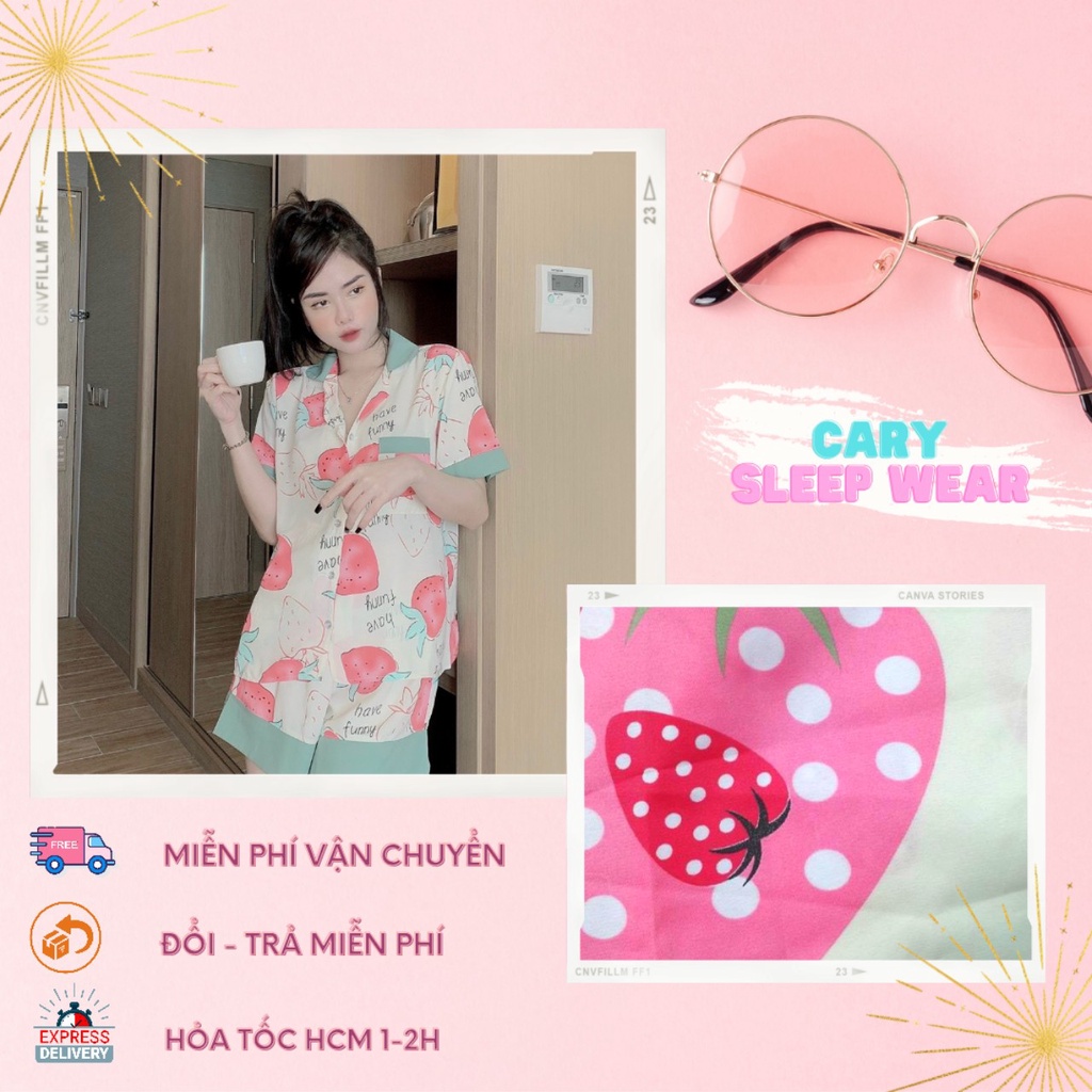 Bộ ngủ pijama cộc tay cổ sen mặc nhà dễ thương CARY