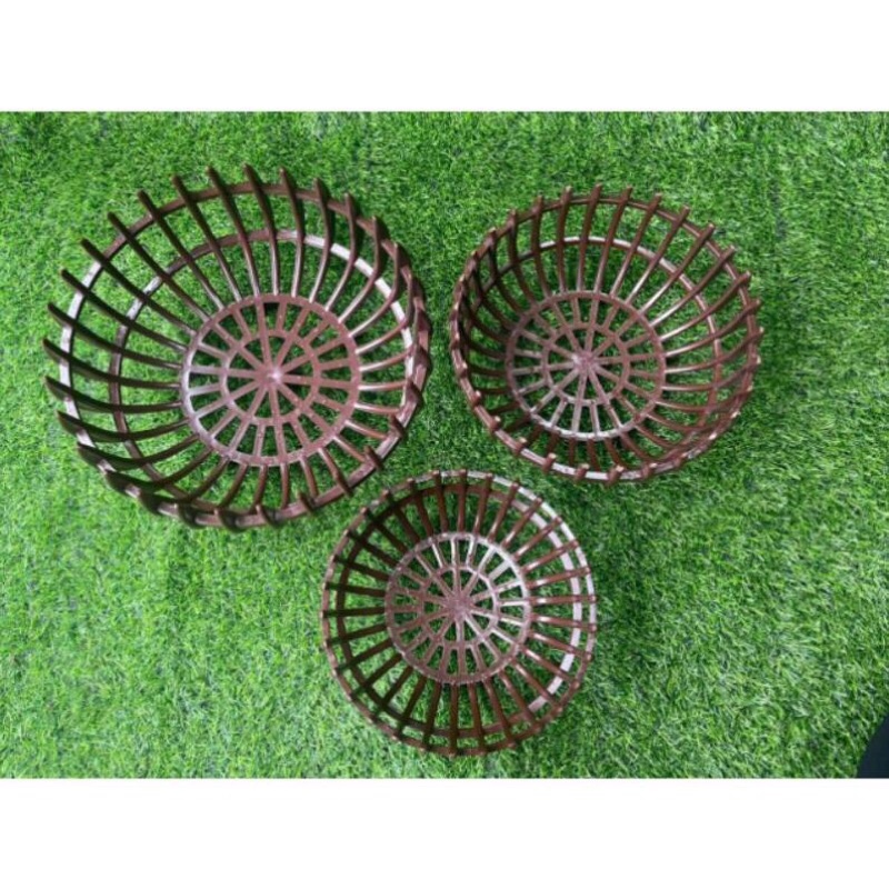 Giảm giá -  HẠT GIỐNG HOA ĐỒNG TIỀN MIX F1- Loài Hoa May Mắn, Nhiều Tài Lộc, hàng sẵn