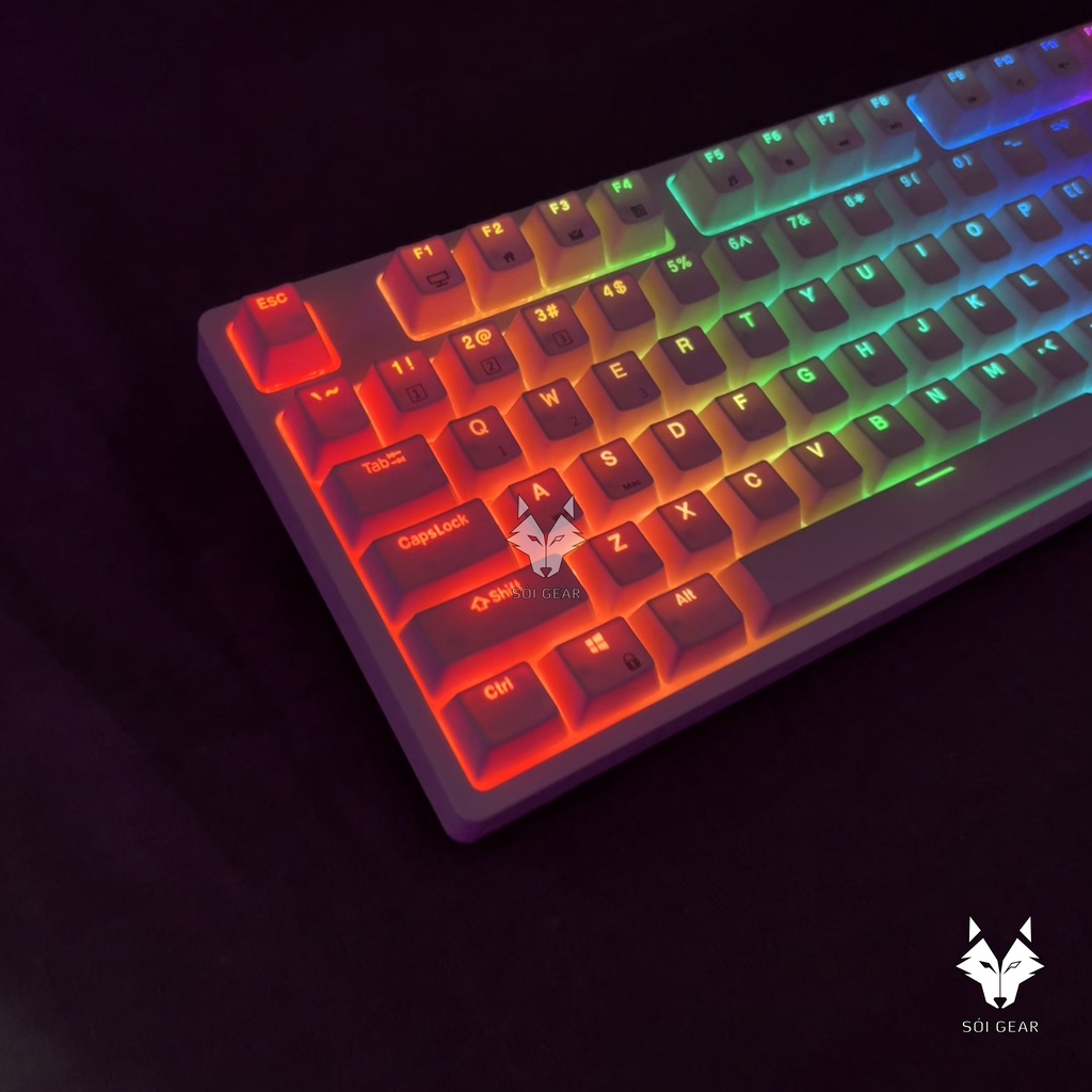 Bàn phím cơ không dây Royal Kludge RK87 HOTSWAP, Led RGB, TKL, Type C, Bluetooth 5.0, Wireless 2.4G, Màu trắng