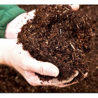 Trichoderma gói 1kg ,TOTT'S FERTILIZER nấm đối kháng Trichoderma