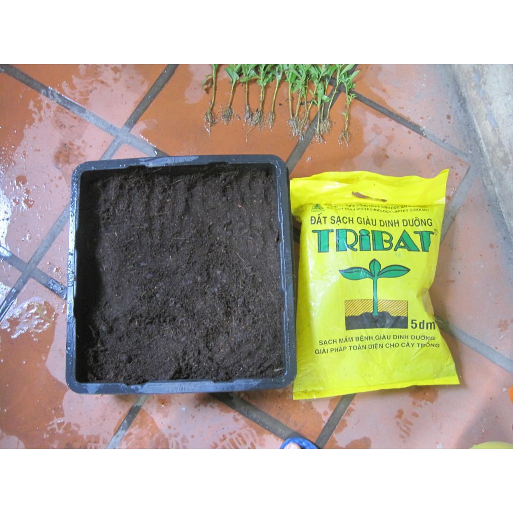 Đất trồng cây- Đất sạch dinh dưỡng Tribat- Đất tribat túi 5 dm3 (5 lít) (cân lẻ 2.5kg)