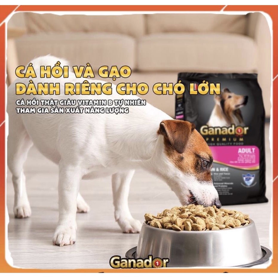 [Mới]Thức ăn cho chó trưởng thành Ganador vị cá hồi và gạo Adult with Salmon and Rice 400g