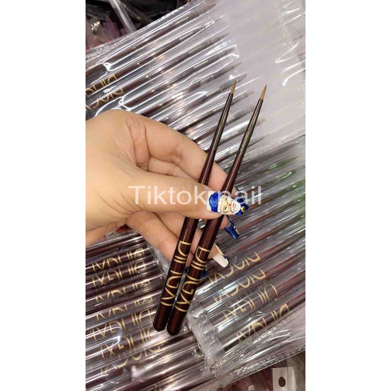 Cọ hoa cúc và tán màu