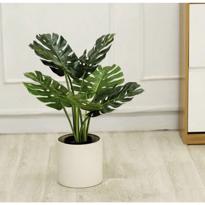 Cây giả - Cây trầu bà giả 60cm