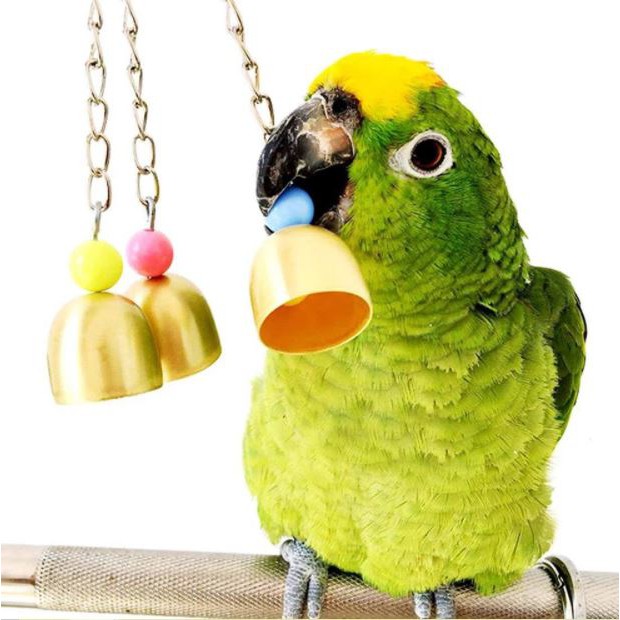 (Bộ 7 đồ chơi) Đồ chơi cho vẹt, đồ chơi cho chim