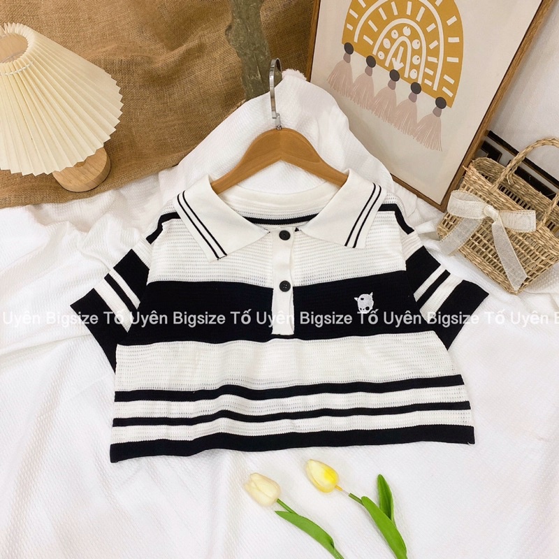 ( T.U Bigsize 50-80kg) Áo Croptop Polo Sọc Ngang Len Mongtoghi QC loại 1 #3001