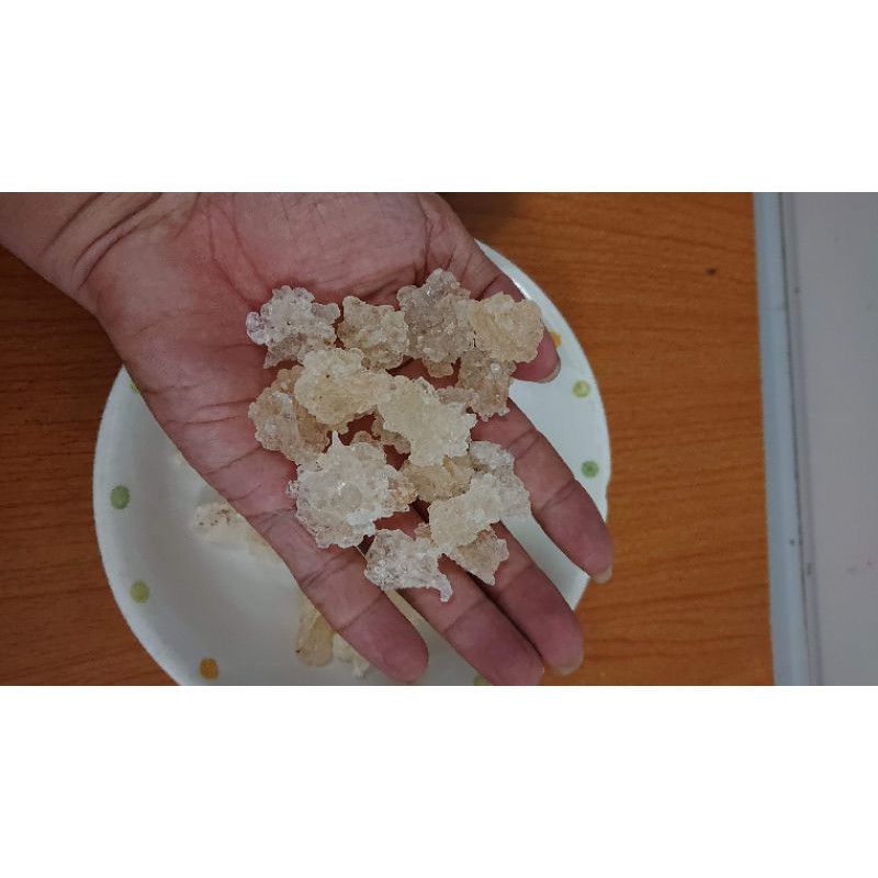 100gr tuyết yến cục to hàng loại 1