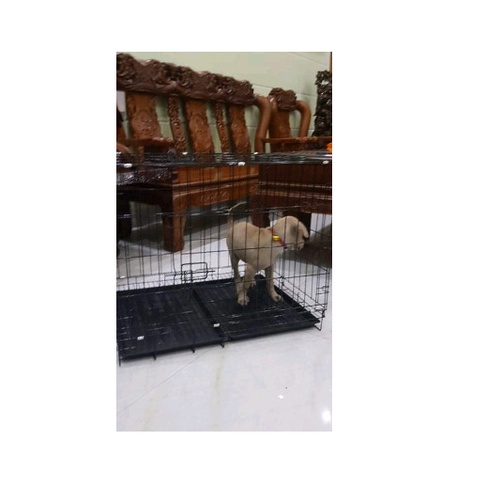 [GẤP GỌN] CHUỒNG CHÓ,MÈO,PET THÚ CƯNG LỒNG GẤP GỌN SƠN TĨNH ĐIỆN Size 70x50x60cm (chó mèo dưới 10kg)