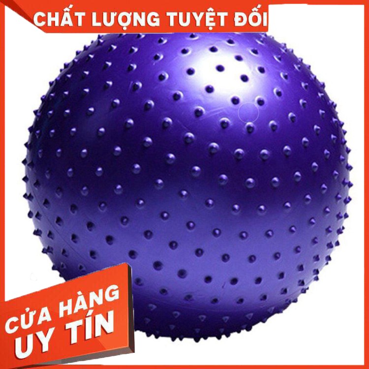 Bóng Tập Gym Có Gai 65cm (900g) - Bóng tập thể dục, yoga và fitness chất lượng cao