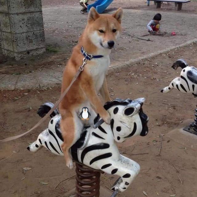 vangabc