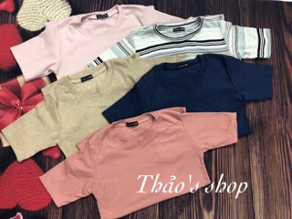 Combo  6 áo thun gân