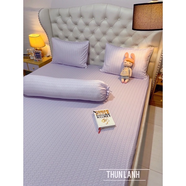 Bộ 4 ga/drap trải giường áo gối THUN LẠNH THÁI