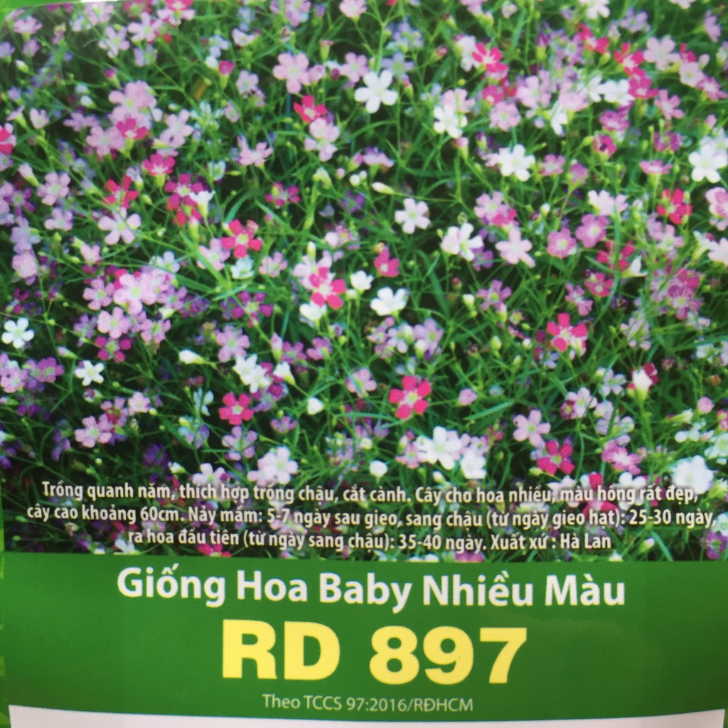 Hạt Giống Hoa Baby Nhiều Màu 0.03gr